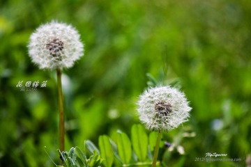 nEO_IMG_IMG_6009.jpg
