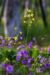 nEO_IMG_IMG_5945.jpg