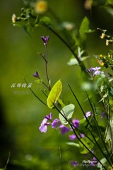 nEO_IMG_IMG_6018.jpg
