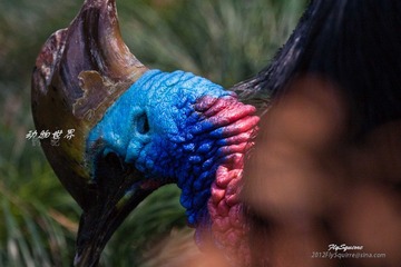 nEO_IMG_IMG_3960.jpg