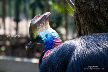 nEO_IMG_IMG_3967.jpg