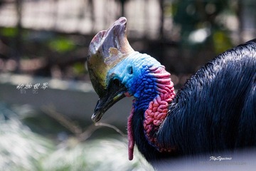 nEO_IMG_IMG_3968.jpg