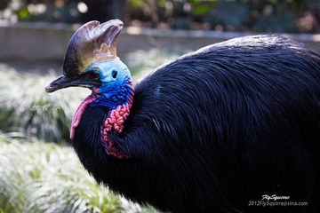 nEO_IMG_IMG_3974.jpg