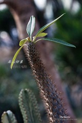 nEO_IMG_IMG_5289.jpg