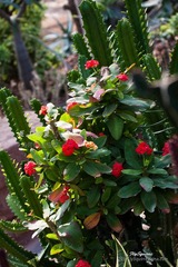 nEO_IMG_IMG_5290.jpg