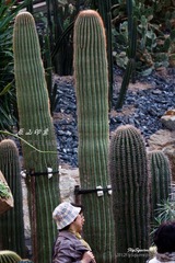 nEO_IMG_IMG_5304.jpg