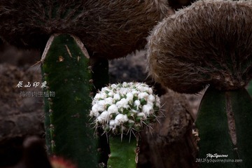 nEO_IMG_IMG_5324.jpg