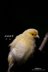 nEO_IMG_IMG_4127.jpg