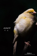 nEO_IMG_IMG_4128.jpg