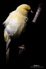 nEO_IMG_IMG_4132.jpg