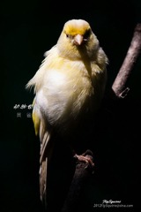 nEO_IMG_IMG_4133.jpg