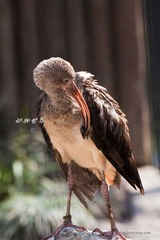 nEO_IMG_IMG_4308.jpg