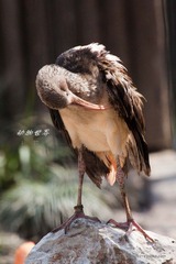 nEO_IMG_IMG_4309.jpg