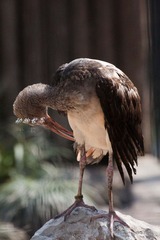nEO_IMG_IMG_4311.jpg