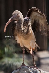 nEO_IMG_IMG_4314.jpg