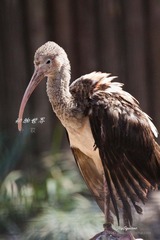 nEO_IMG_IMG_4317.jpg