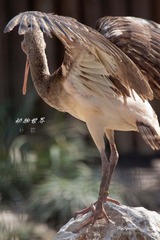 nEO_IMG_IMG_4319.jpg