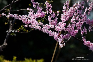 nEO_IMG_IMG_4948.jpg