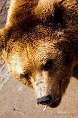 nEO_IMG_IMG_4345.jpg