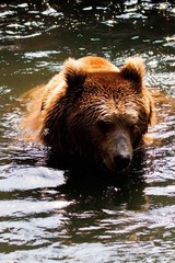 nEO_IMG_IMG_4350.jpg