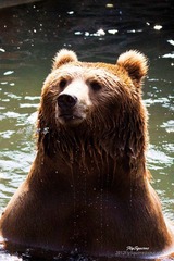 nEO_IMG_IMG_4353.jpg