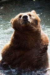 nEO_IMG_IMG_4356.jpg
