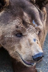 nEO_IMG_IMG_4388.jpg