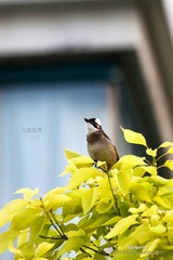 IMG_6625_nEO_IMG.jpg