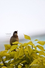 IMG_6637_nEO_IMG.jpg