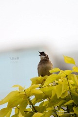 IMG_6648_nEO_IMG.jpg