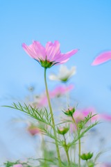 11626BE7-5B89-4C57-8A97-AAB1720583B3/L0/001