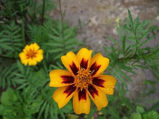 DSCF0367_副本.jpg