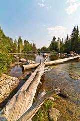 Day2-5.jpg