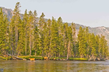 Day3-3.jpg