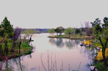 照片 038(瘦西湖美景).jpg