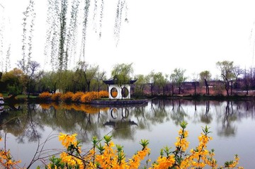 照片 031(瘦西湖美景）.jpg