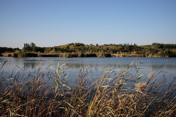 L1000616