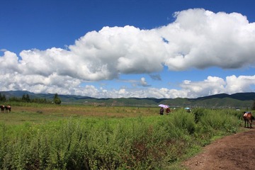 马背上的天空
