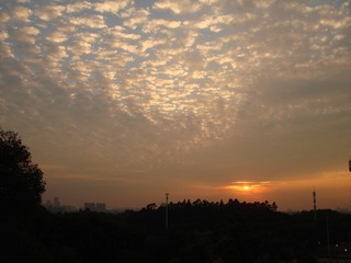 17C4C47E-B6E6-4A9C-A550-58CD305868C4/L0/001