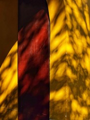 B34D4FB9-1176-4A8C-A7B0-22505001146E/L0/001