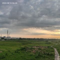 1000145491