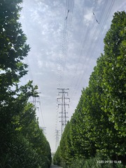 1000047570