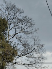 1000251624