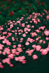 355503