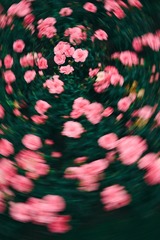 355502