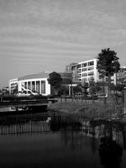 201101071224.jpg