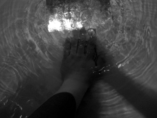 20101104210.jpg