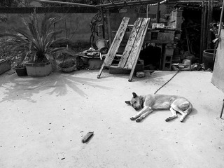 201102061367.jpg