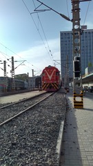 47286