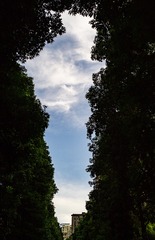 324988